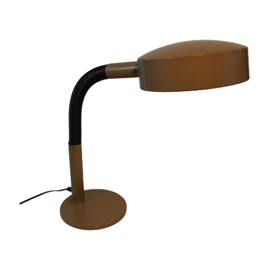 Dutch Design Desk Lamp By Hala Zeist, 1970s 1