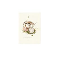 Vintage Print Gewone Weidechampignon