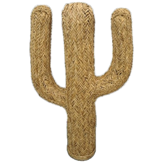 Rotan Stro Cactus Vintage 1