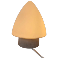 Vintage Kegel Plafond Lamp Glas Design.