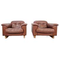 Vintage Set Of 2 De Sede Ds 101 Fauteuil Dik Bruin Leer ’70