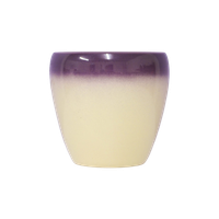 Creme & Paarse Bloempot
