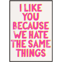 I Like You Because We Hate The Same Things