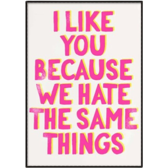 I Like You Because We Hate The Same Things 1
