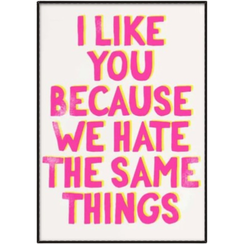 I Like You Because We Hate The Same Things