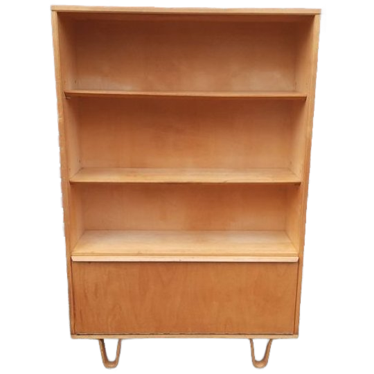 Dutch Cabinet Pastoe Bb03 Cees Braakman 1955 1