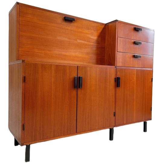 Vintage Pastoe Made To Measure Kast Cees Braakman 1960’s 1