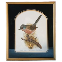 Vintage Dartford Warbler Vogel David Andrews Gouden Lijst