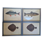 4 Vintage Ikea Vissen Lithografie In Mooie Lijsten. thumbnail 1