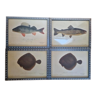 4 Vintage Ikea Vissen Lithografie In Mooie Lijsten.