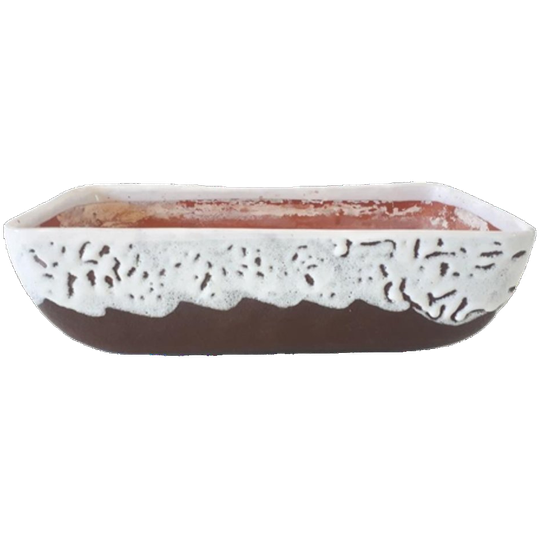 Xxl Cactus Pot Bonsai Pot Lava Keramiek Schaal Jaren 50 1