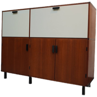 Cabinet Made To Measure By Cees Braakman For Pastoe, 1960s