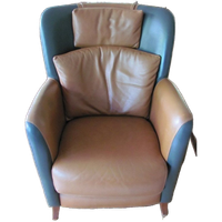 Leren Clubfauteuil, Leunstoel Calypso