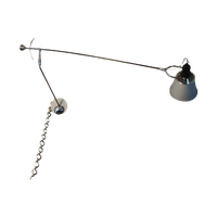 Ceiling Lamp Hydra By Carlo Forcolini For Nemo Italianaluce, 1993