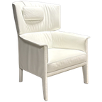 Vintage Lederen Fauteuil – De Sede Ds-168 thumbnail 1