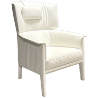 Vintage Lederen Fauteuil – De Sede Ds-168