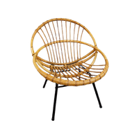 Kenmerkende Rotan Fauteuil, Dutch Design, 1960