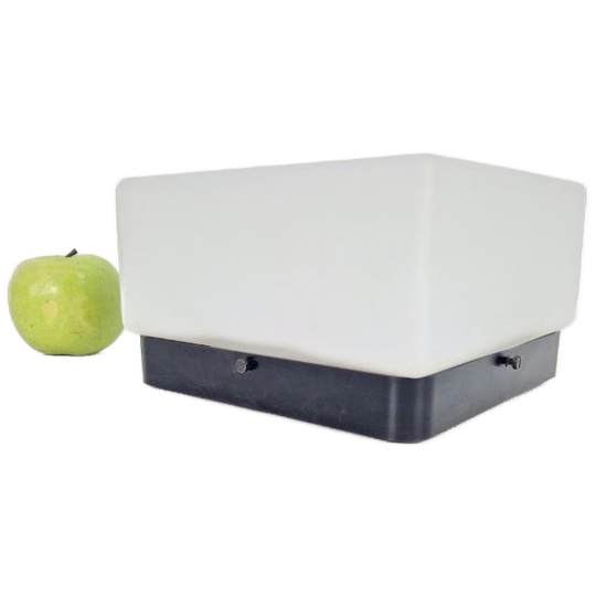 Vintage Bauhaus Plafonnière Mat Wit Glas Bakeliet ‘60 1