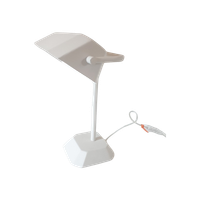 Strakke Witte Notaris Lamp Dokterslamp Desklight Bureaulamp