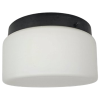 Raak Amsterdam - Opaalglas - Model P.1454.0003 - Plafonniere