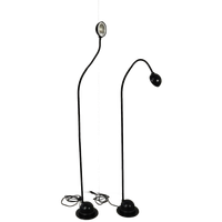 Set Van 2 Design Vloerlampen, Flexibel
