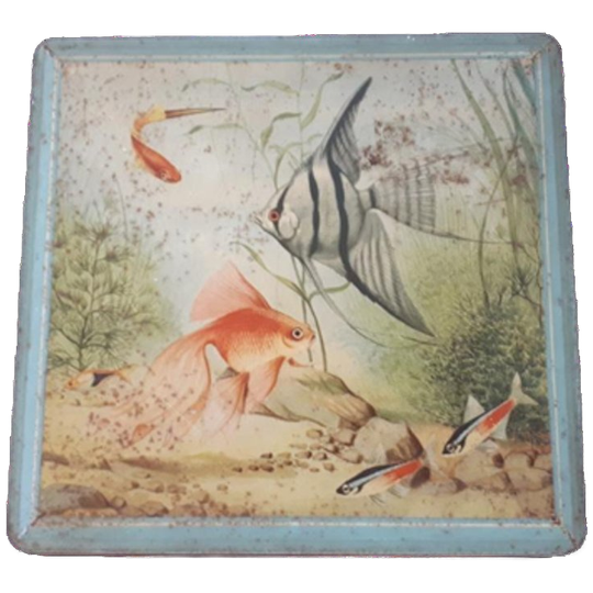 Vintage Blik Van Melle Aquarium Blik 1