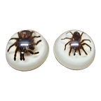 Vintage Opgezette Vogelspinnen In Epoxy Usa thumbnail 1