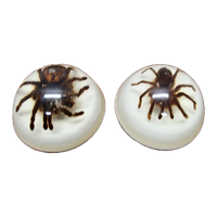 Vintage Opgezette Vogelspinnen In Epoxy Usa