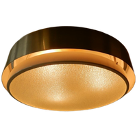 Vintage Raak Amsterdam Design Plafondlamp Jaren 60 Lamp