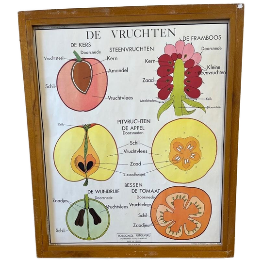 Vintage Houten Kader Met 9 Dubbelzijdige Prenten Natuur 1