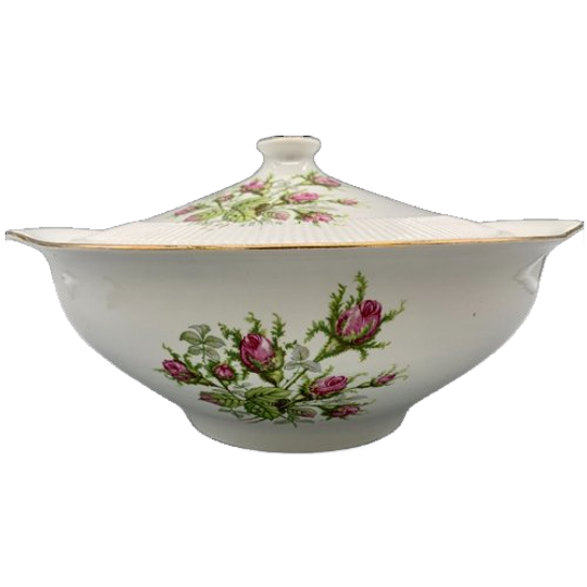 Grote Terrine Fontebasso Treviso Roos 1