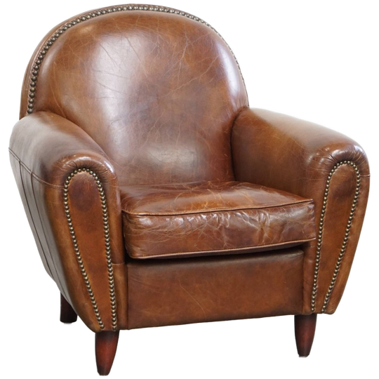 Stijlvolle Rundleren Fauteuil/ Armchair Met Mooie Ronde Vormen En Een Tijdloze Uitstraling 1