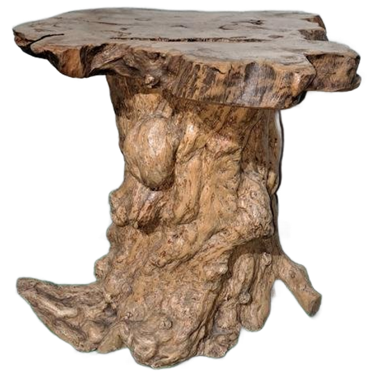 Boomstam Tafel Tree Trunk End Table 1