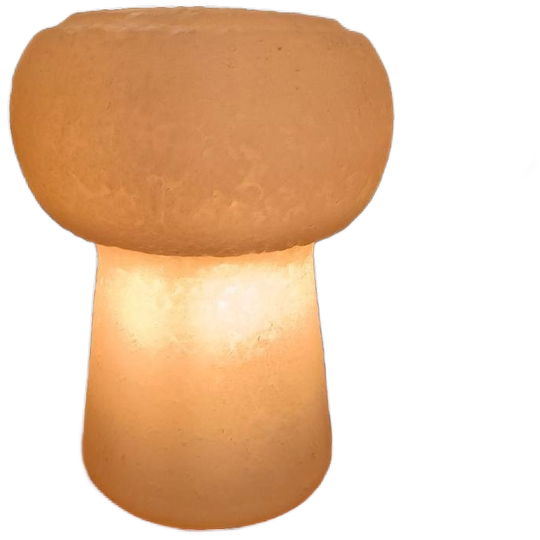 Vintage Petit Bouchon Tafellamp, Arnone Voor Francolight 1