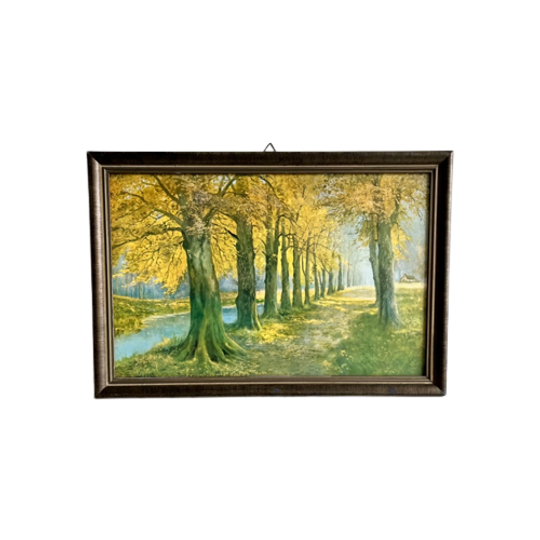 Romantisch Boslandschap 1