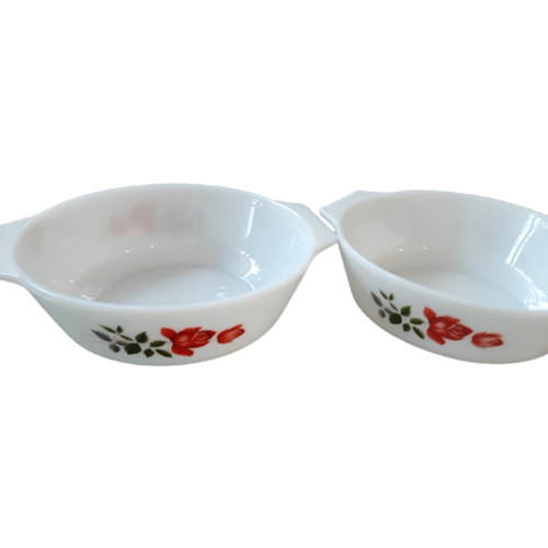 Set Van 2 Schalen Met Rozen Melkglas Pyrex