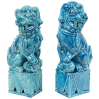 Groot Koppel Foo Dogs Tempelleeuwen Turquoise Keramiek 25cm thumbnail 1