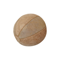 Ne25 – Medicijn Bal – 5 Kg – Leer