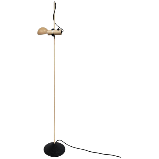 Floorlamp / Raul Barbieri & Giorgio Marianelli For Tronconi / Italy 1970s 1