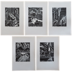 Frans Masereel: Luik (5 Originele Houtsneden) thumbnail 1