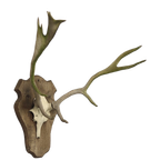 Groot Gewei Op Wandplaat thumbnail 1