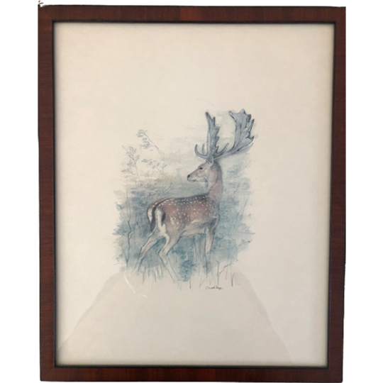 Mads Stage Vintage Originele Aquarel Tekening Hert 1