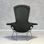 Bird Chair Harry Bertoia Fauteuil Knoll Vintage Design Stoel thumbnail 8