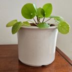 Witte Keramieken West Germany Vintage Bloempot thumbnail 4
