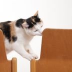 Vintage Design Houten Stoelen Met Plaats Voor Je Tijdschrift thumbnail 16