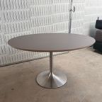 Movani Circulo Design Tafel thumbnail 10