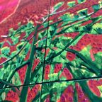 David Hockney, A Closer Grand Canyon,1998, Copyright 2010 David Hockney thumbnail 14