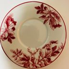 H&m Home Espresso Set thumbnail 6
