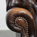 Donkerbruine, Sierlijke Rundleren Chesterfield Oorfauteuil In Een Klassieke Engelse Stijl thumbnail 5