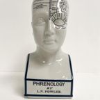 Keramieken 30 Cm Hoge Phrenology Hoofd, 1990’S thumbnail 12